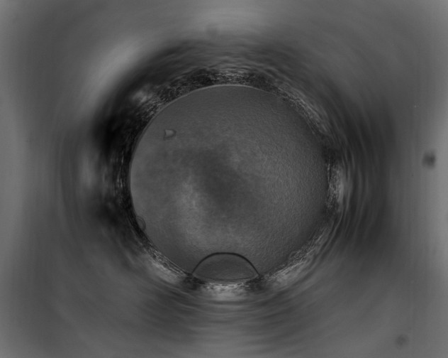 X0000100760526200806191210