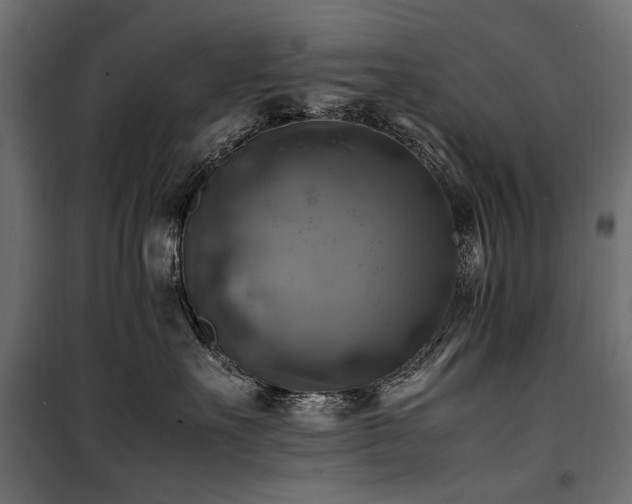 X0000100760527200806191210