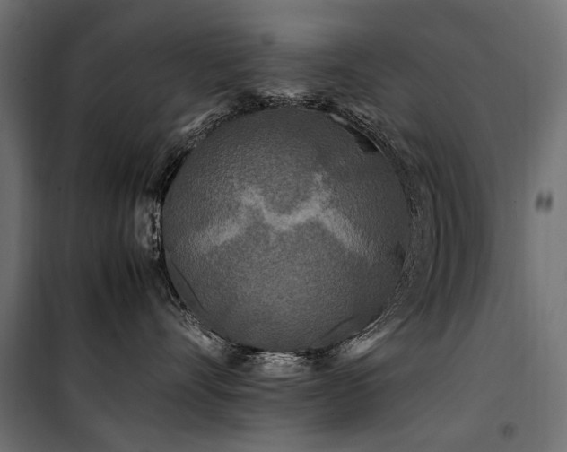 X0000100760528200806191210