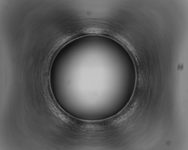 X0000100760529200806191209