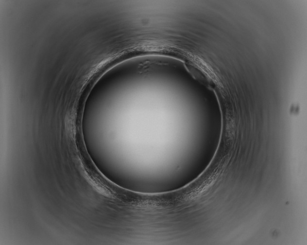 X0000100760530200806191209