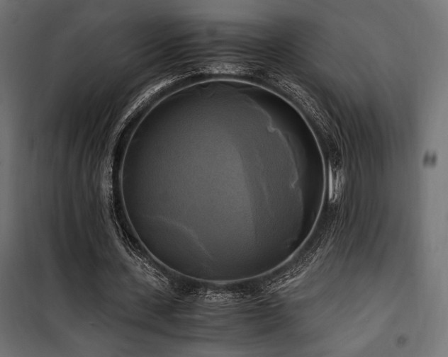 X0000100760531200806191209