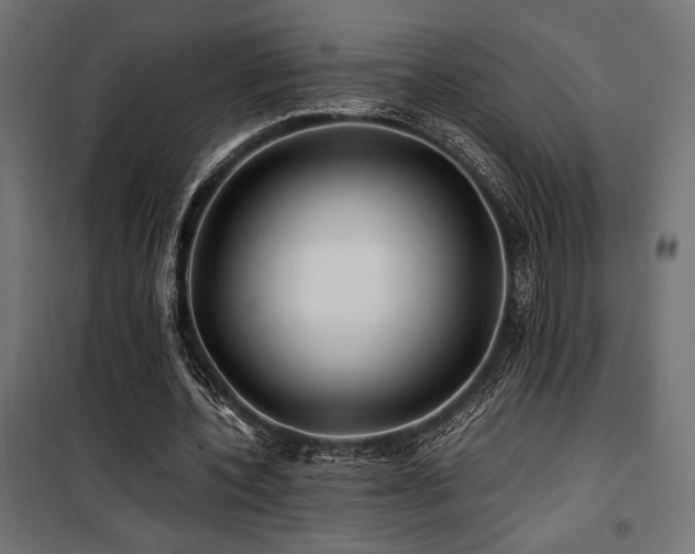 X0000100760532200806191209