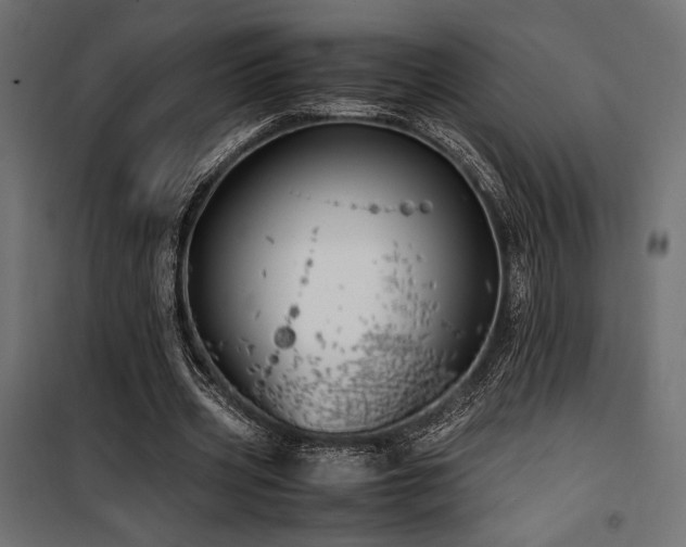 X0000100760533200806191209