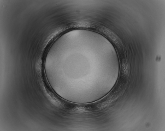 X0000100760534200806191209