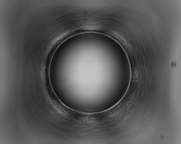 X0000100760535200806191209