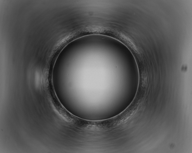 X0000100760538200806191209