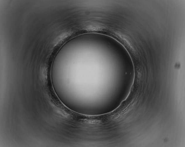 X0000100760539200806191209