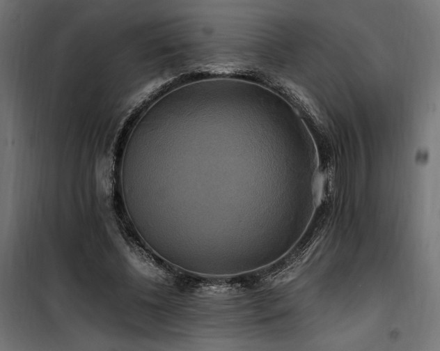 X0000100760540200806191210