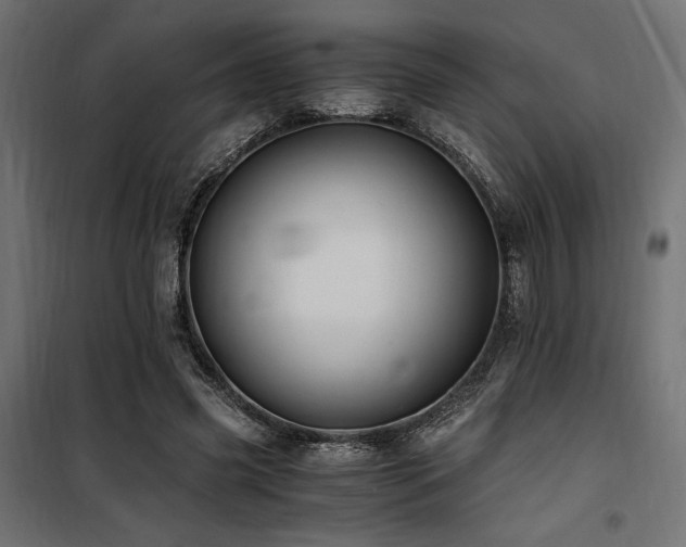 X0000100760541200806191210