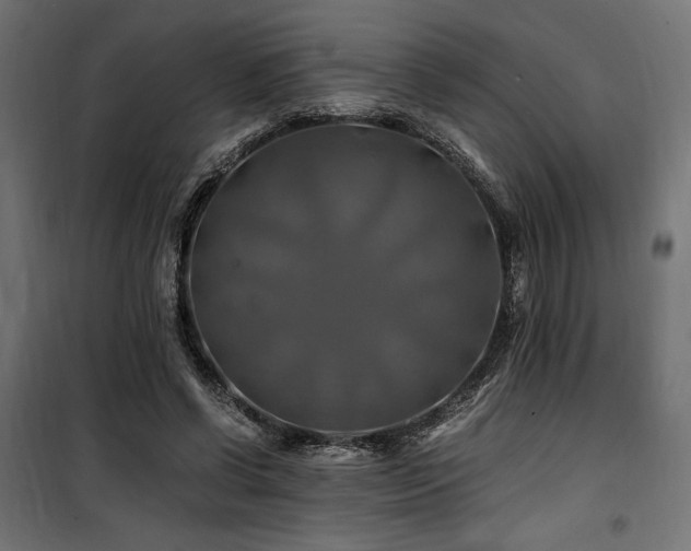 X0000100760542200806191210