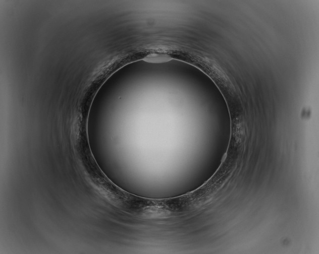 X0000100760544200806191210