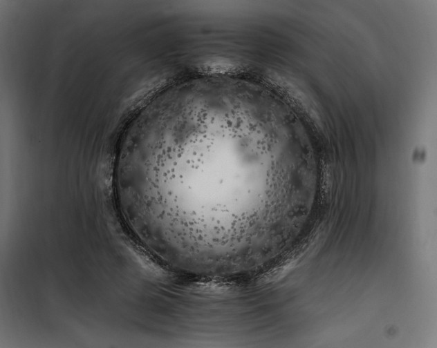 X0000100760545200806191210