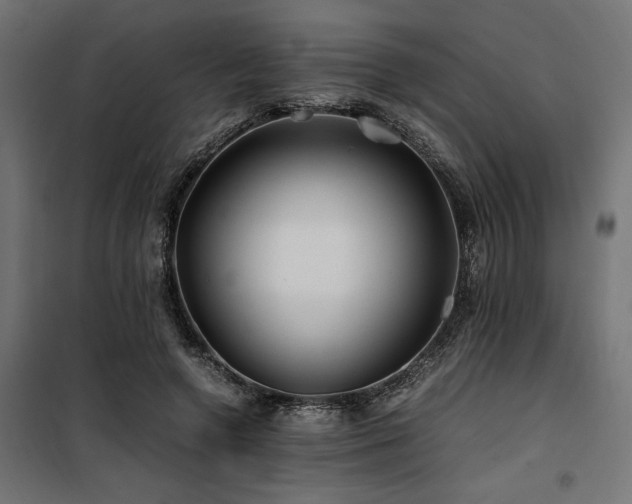 X0000100760546200806191210