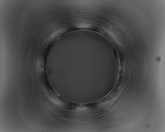 X0000100760547200806191210