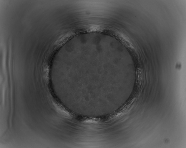 X0000100760550200806191210