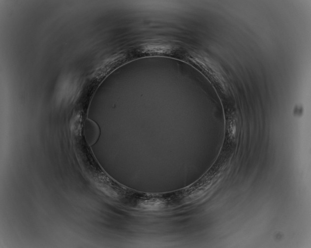 X0000100760551200806191210