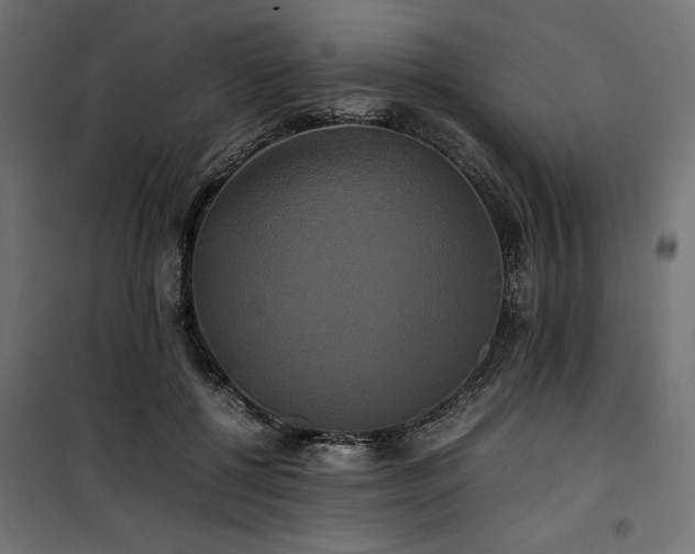 X0000100760552200806191210