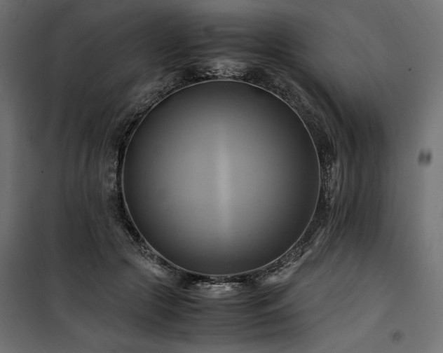 X0000100760553200806191210