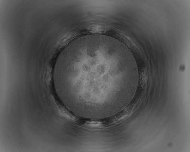 X0000100760554200806191210