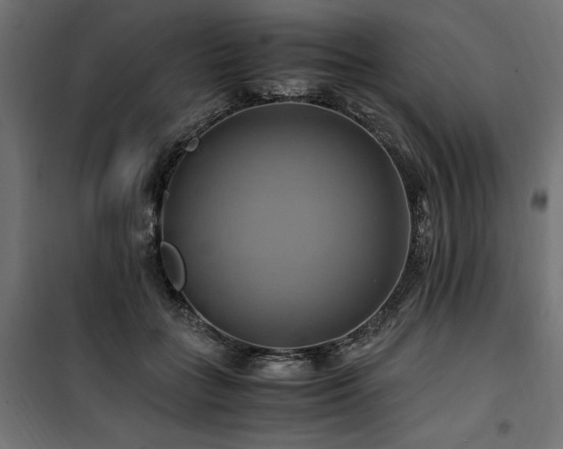 X0000100760555200806191210