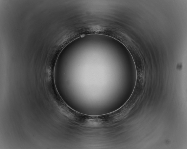 X0000100760556200806191210