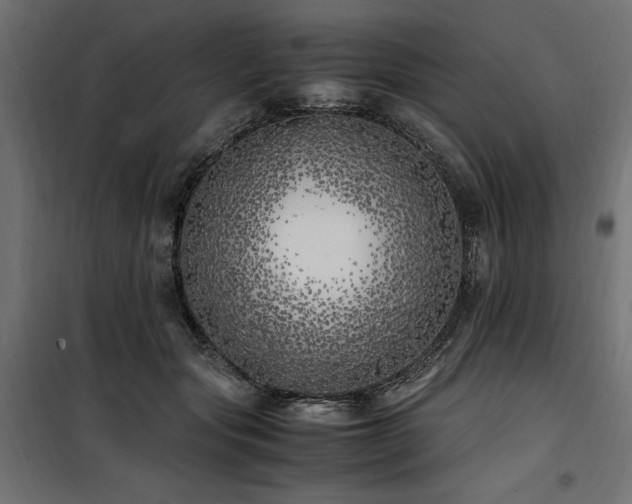 X0000100760557200806191210