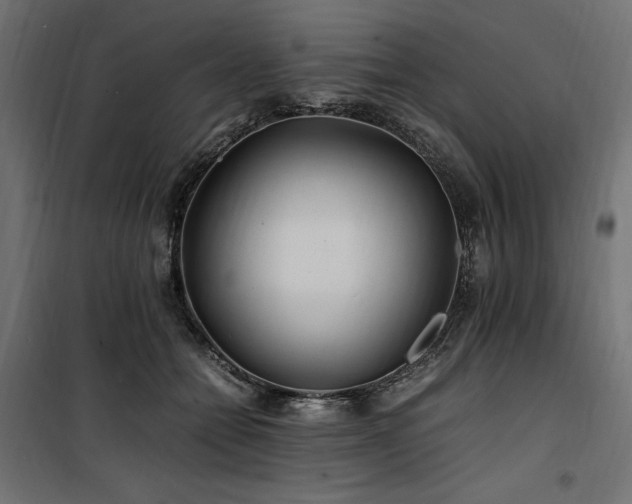 X0000100760558200806191210