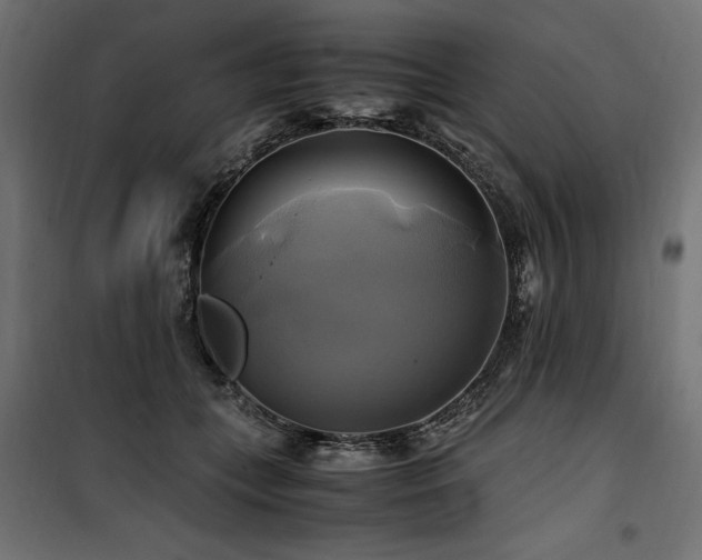 X0000100760559200806191210