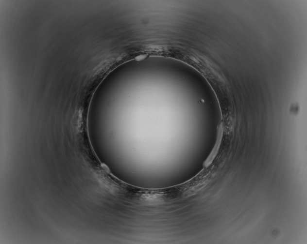 X0000100760560200806191210