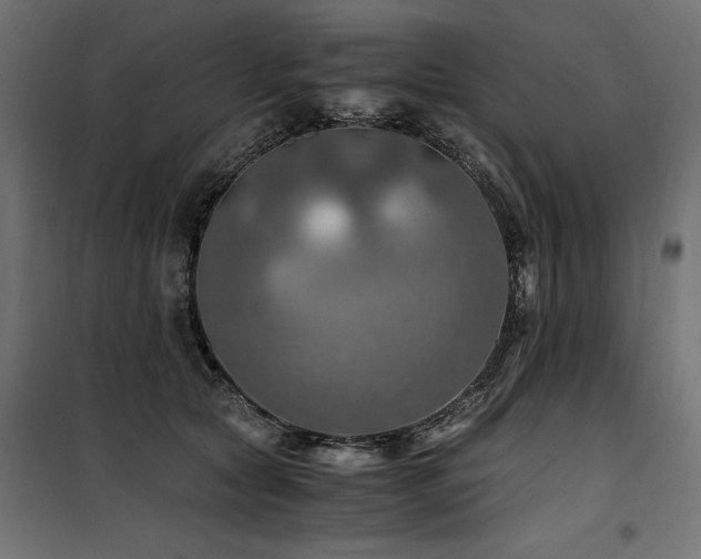 X0000100760561200806191210