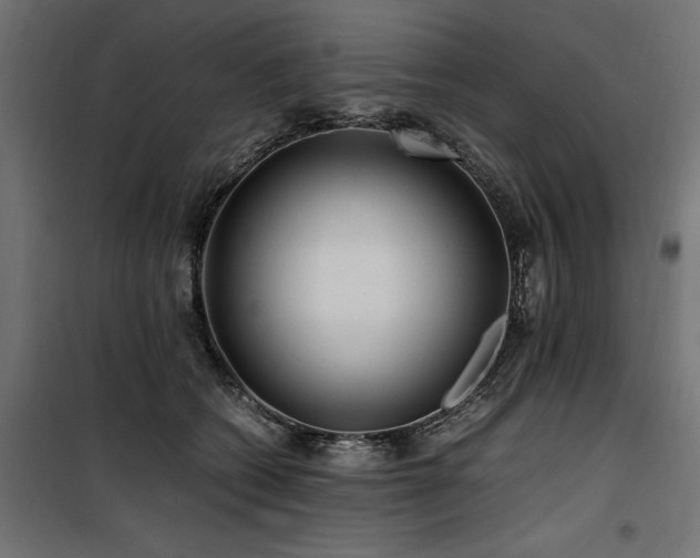 X0000100760562200806191210