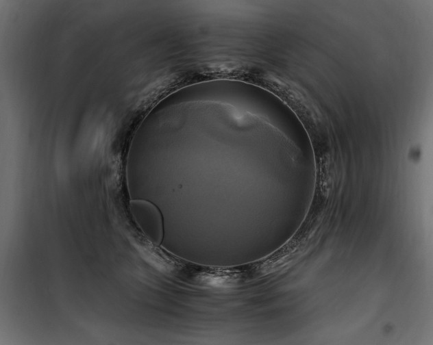 X0000100760563200806191210