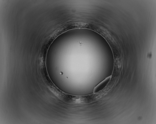 X0000100760564200806191210