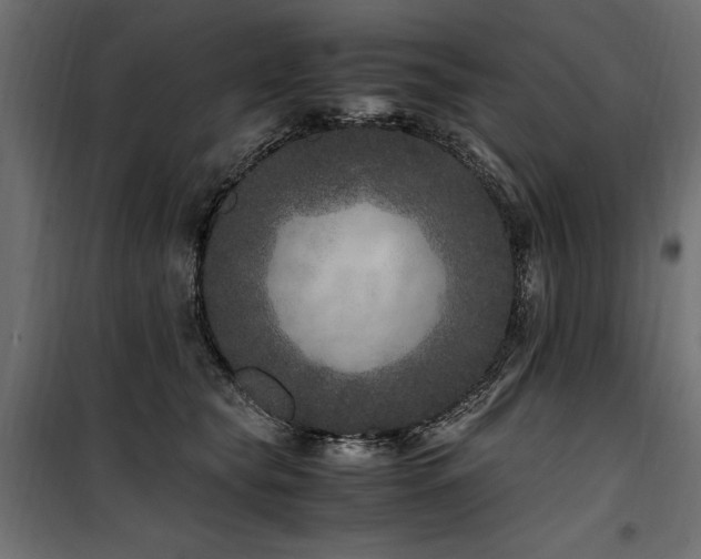 X0000100760565200806191210