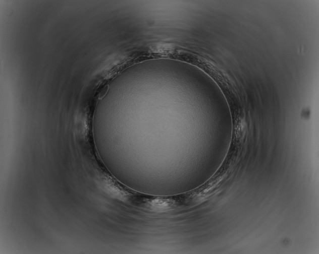 X0000100760566200806191210