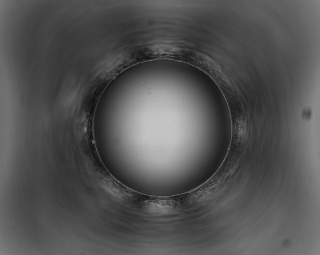 X0000100760567200806191210