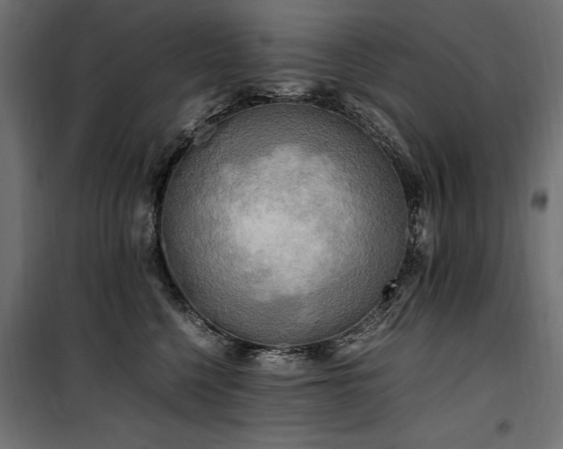 X0000100760568200806191210