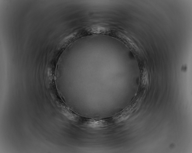 X0000100760569200806191210