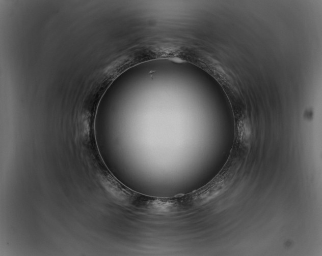 X0000100760570200806191210