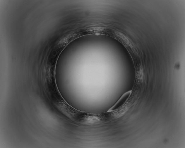 X0000100760572200806191210