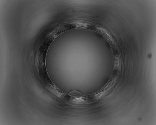 X0000100760573200806191210