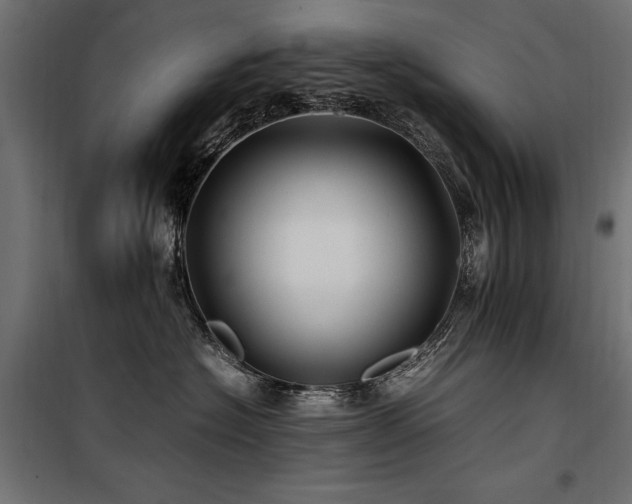 X0000100760574200806191210