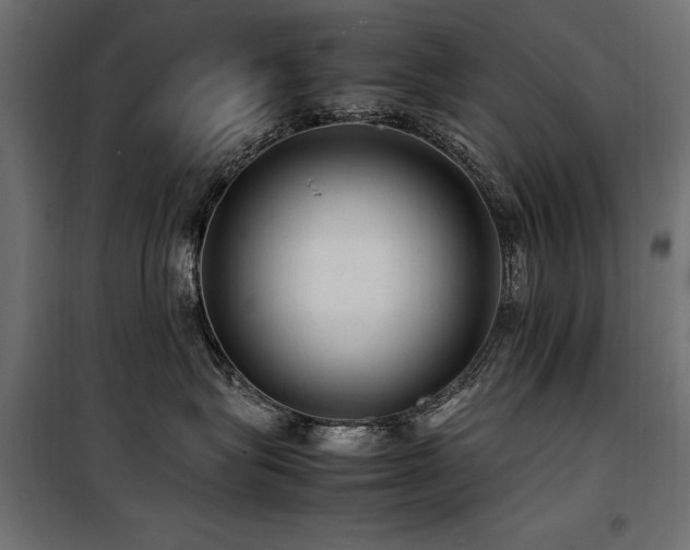 X0000100760575200806191210