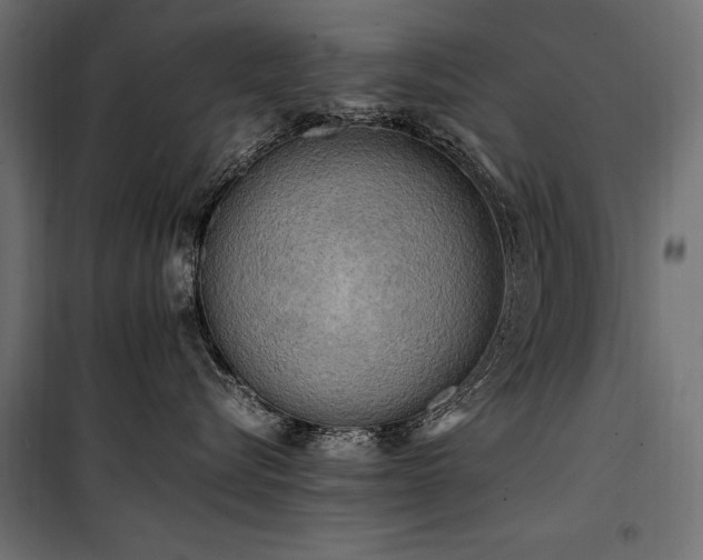 X0000100760576200806191210