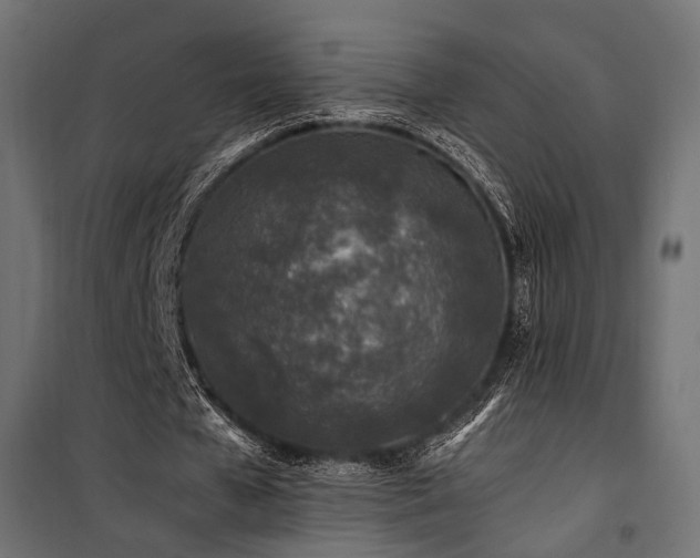 X0000100760577200806191209