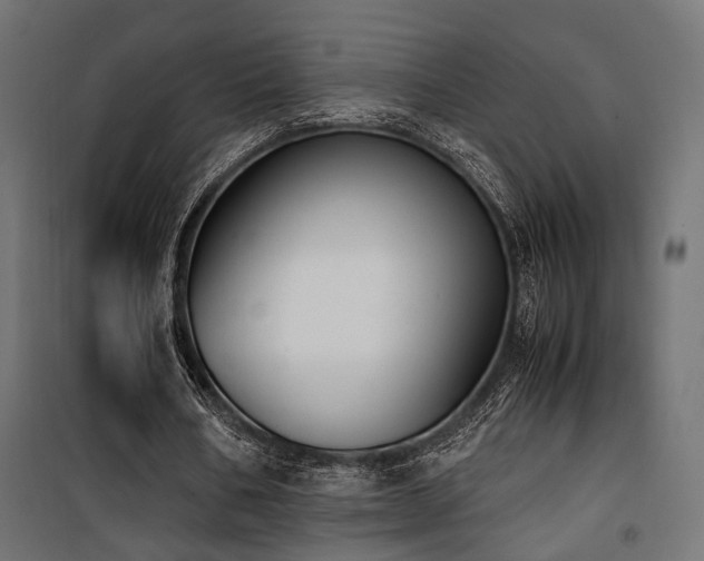 X0000100760578200806191209