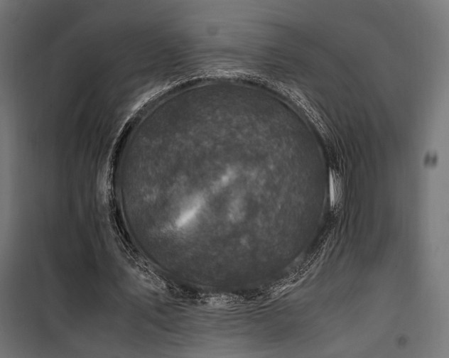 X0000100760579200806191209