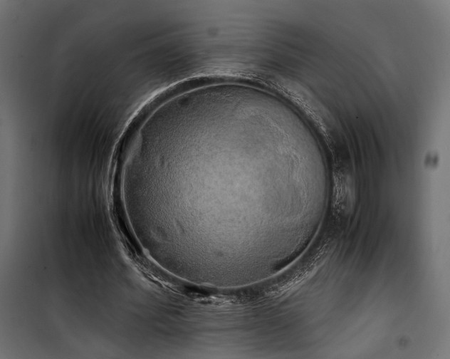 X0000100760580200806191209