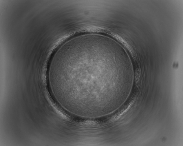 X0000100760581200806191209